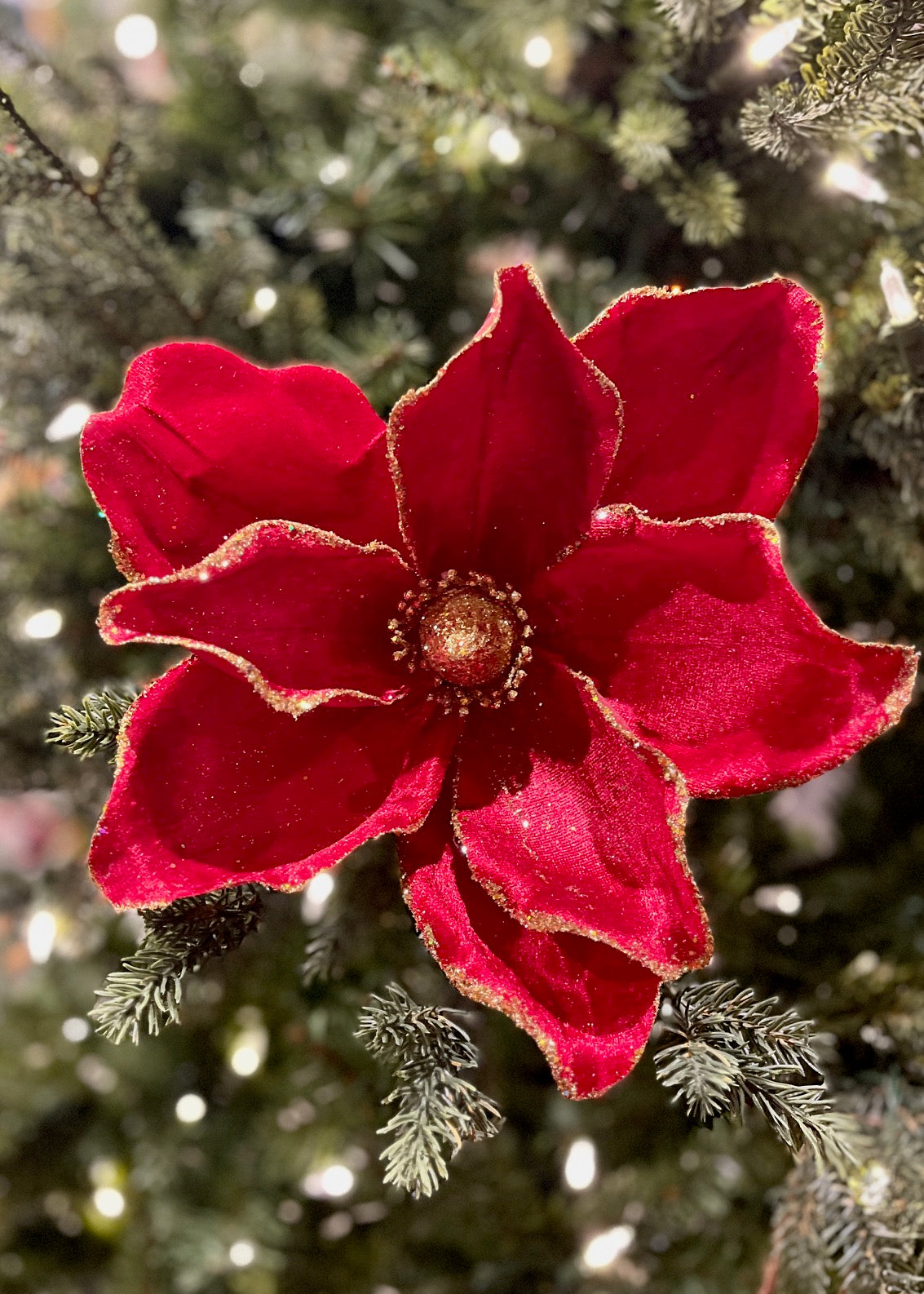 CLIP ON FABRIC MAGNOLIA RED GOLD EDGE XDGZMAN