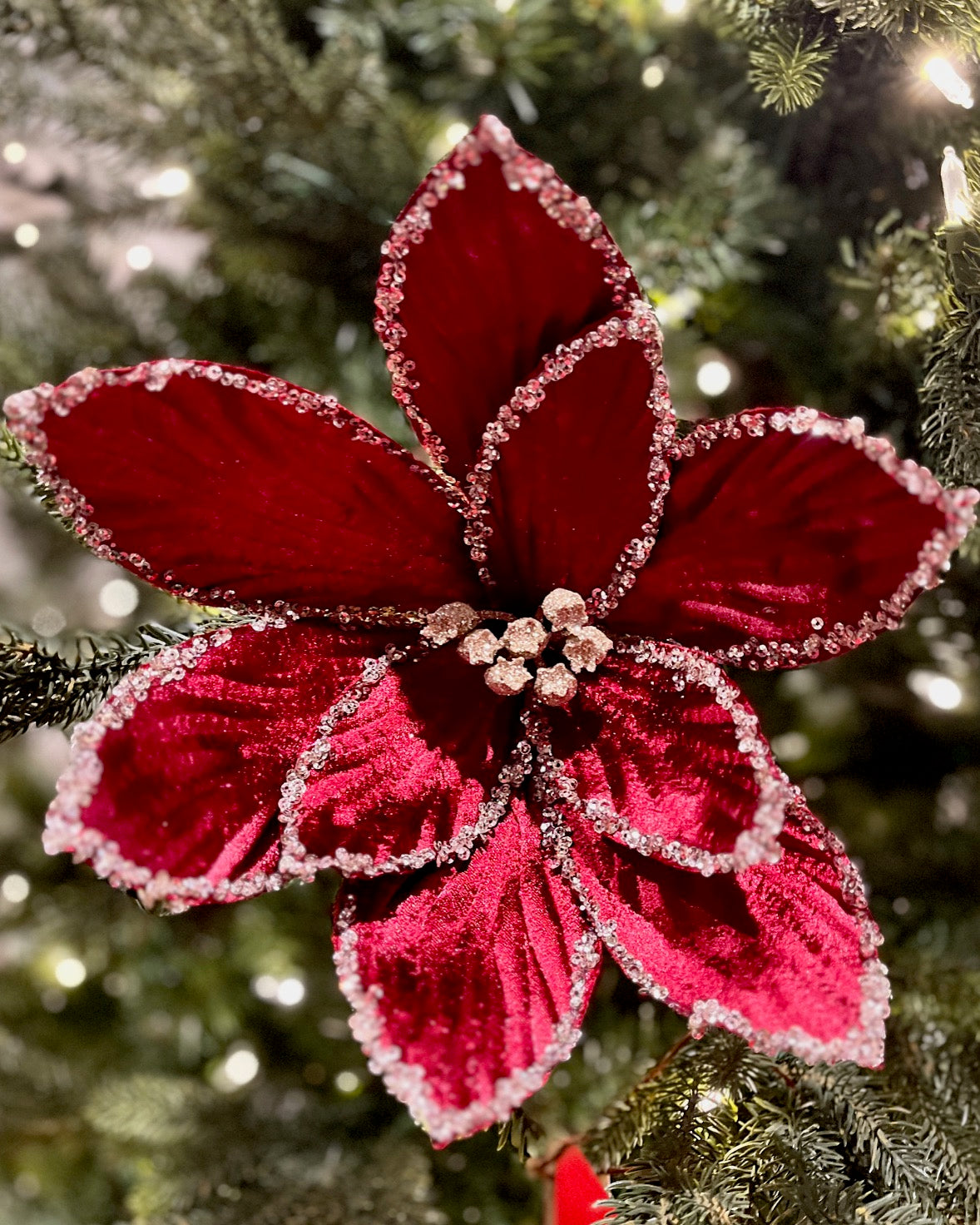 CLIP ON FABRIC POINSETTIA RED GOLD EDGE XDGZMAO