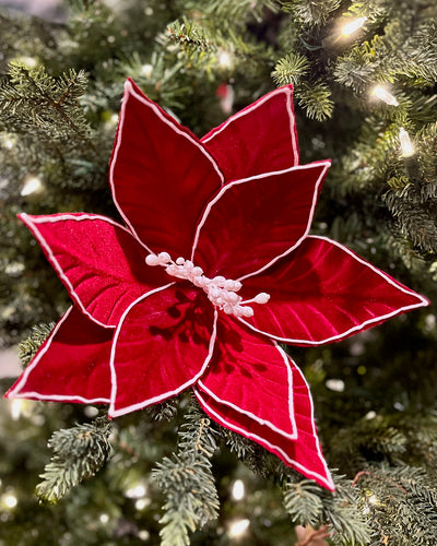 CLIP ON FABRIC POINSETTIA RED WHITE EDGE XDGZNAP