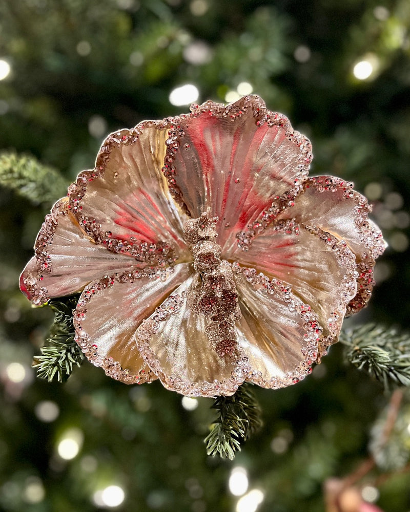 CLIP ON FABRIC MAGNOLIA GLITTER EDGE CHAMPAGNE XDGZSAT