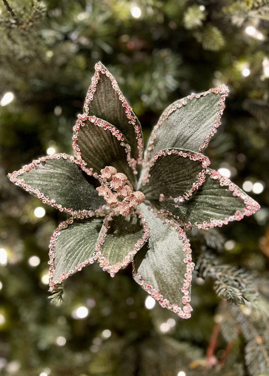 CLIP ON FABRIC POINSETTIA SAGE CHAMPAGNE GLITTER XDGZWBB