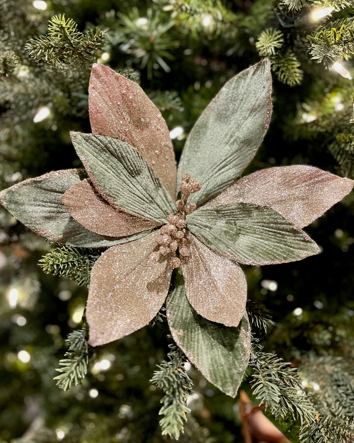 CLIP ON FABRIC POINSETTIA SAGE CHAMPAGNE XDGZWBC