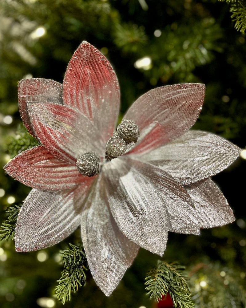 CLIP ON FABRIC POINSETTIA SHINY SILVER XDPBDCH