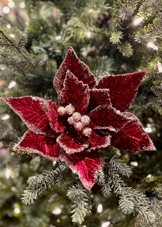 CLIP ON FABRIC POINSETTIA BURGUNDY & CHAMPAGNE XDPBLCL
