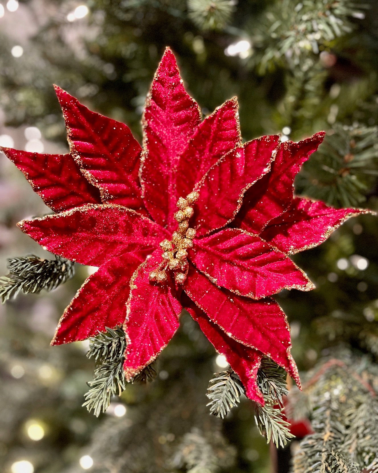 CLIP ON FABRIC POINSETTIA RED GOLD CENTRE XDPBLCR