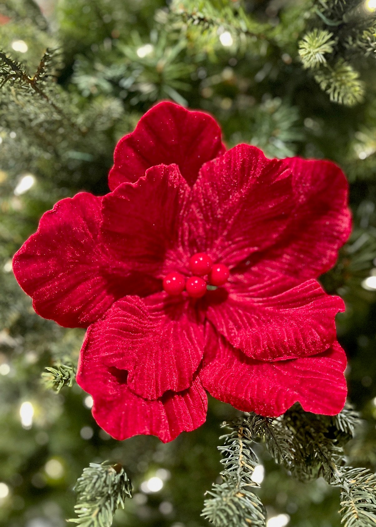 CLIP ON FABRIC MAGNOLIA RED W/RED BERRY XDPBOCS