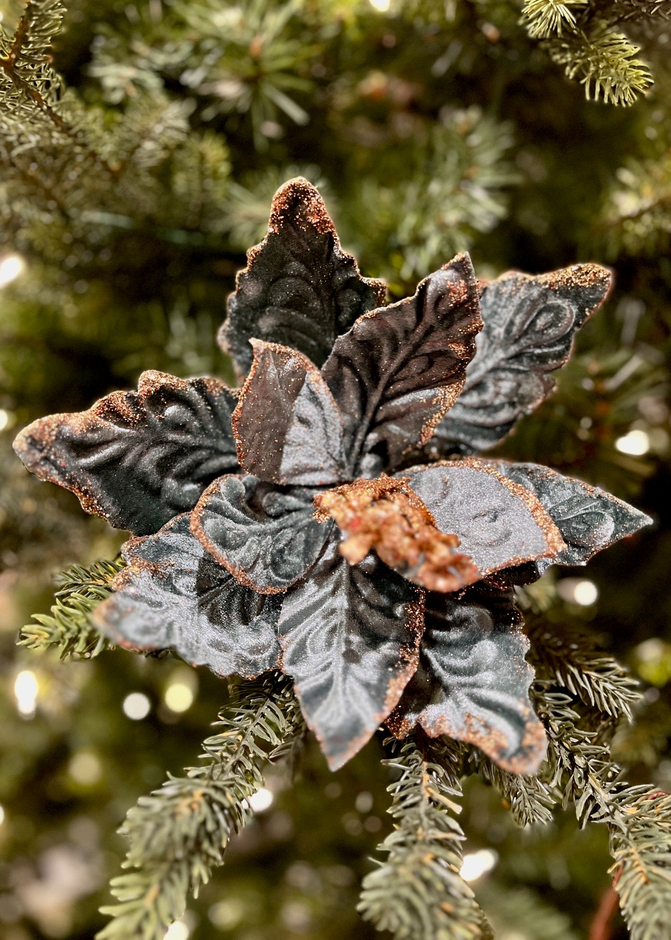 CLIP ON FABRIC POINSETTIA PEACOCK COPPER EDGE XDPBVDS