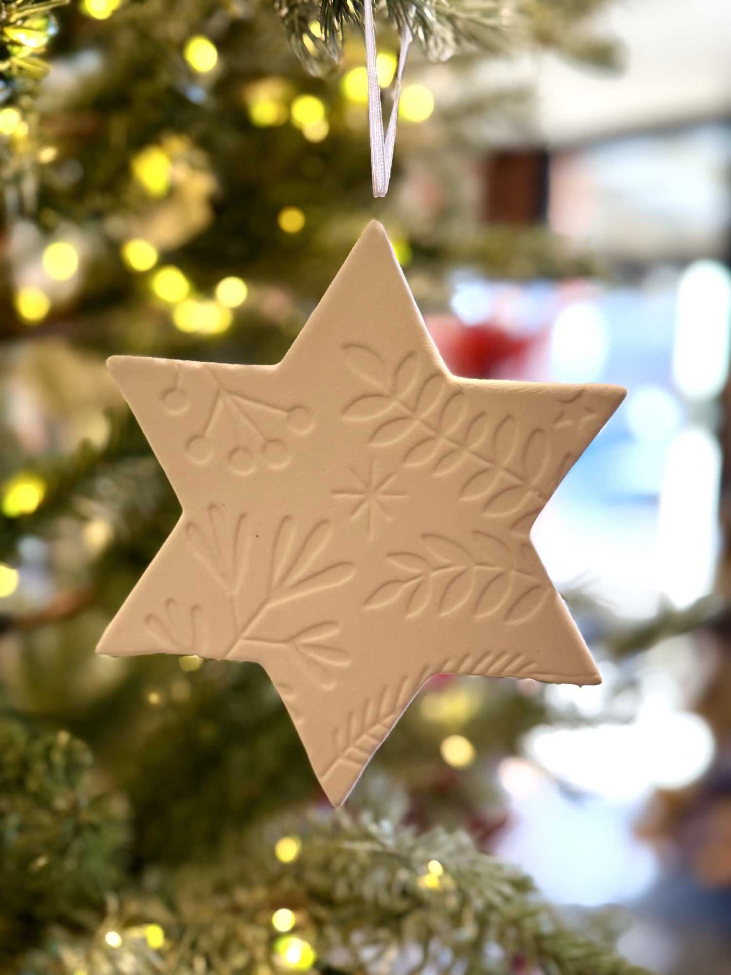 PORCELAIN WHITE SIX POINT STAR ORNAMENT XCZDSPS