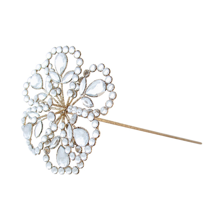 JEWELLED CHAMPAGNE MAGNOLIA XVAXCFM
