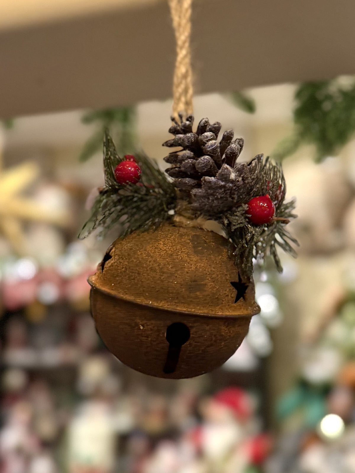 RUSTY BELL HANGING ON ROPE XX10236