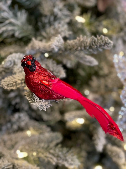 CARDINAL BIRD  CLIP  ONS XM746B