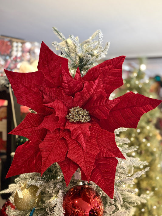 Giant Poinsettia Stem Red  3300899RE