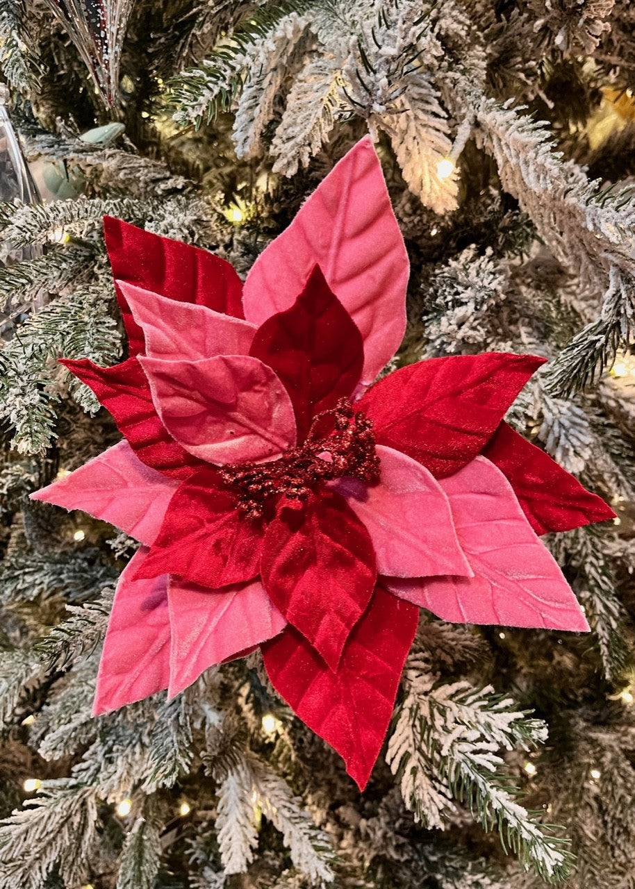 28CM RED & CANDY PINK POINSETTIA W/50CM STEM X419629