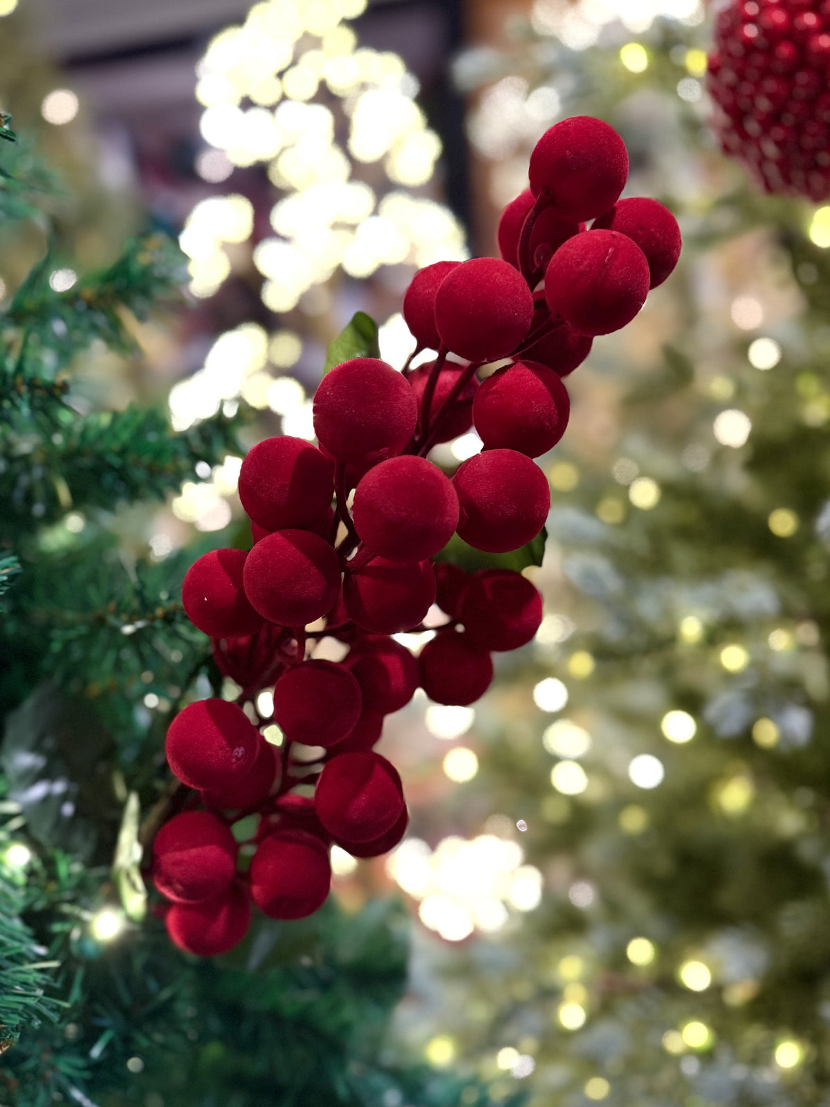 52CM FLOCKED RED BERRIES W/LEAVES X479285