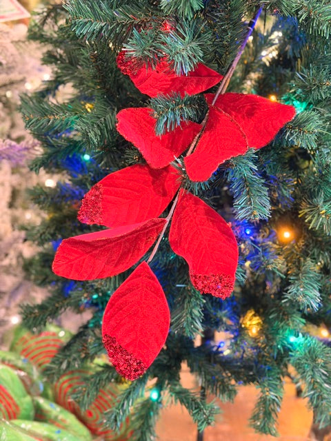 RED VELVET LEAF STEM X480069