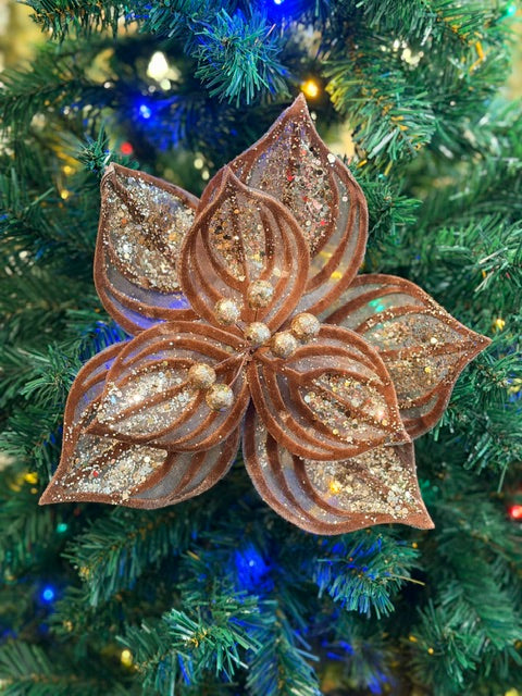 MOCHA LACE POINSETTIA  X481189