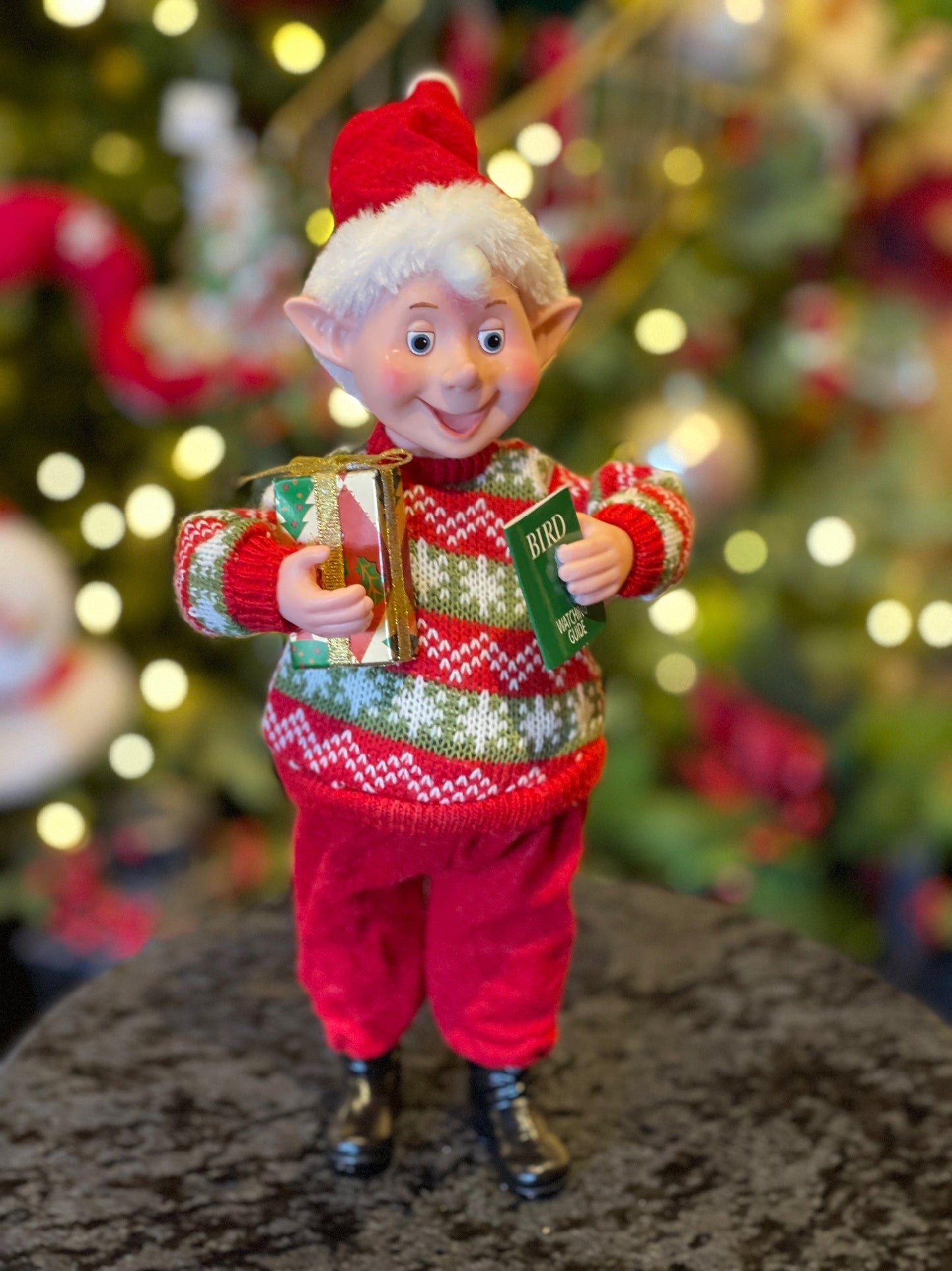 ERIC THE ELF XCH68
