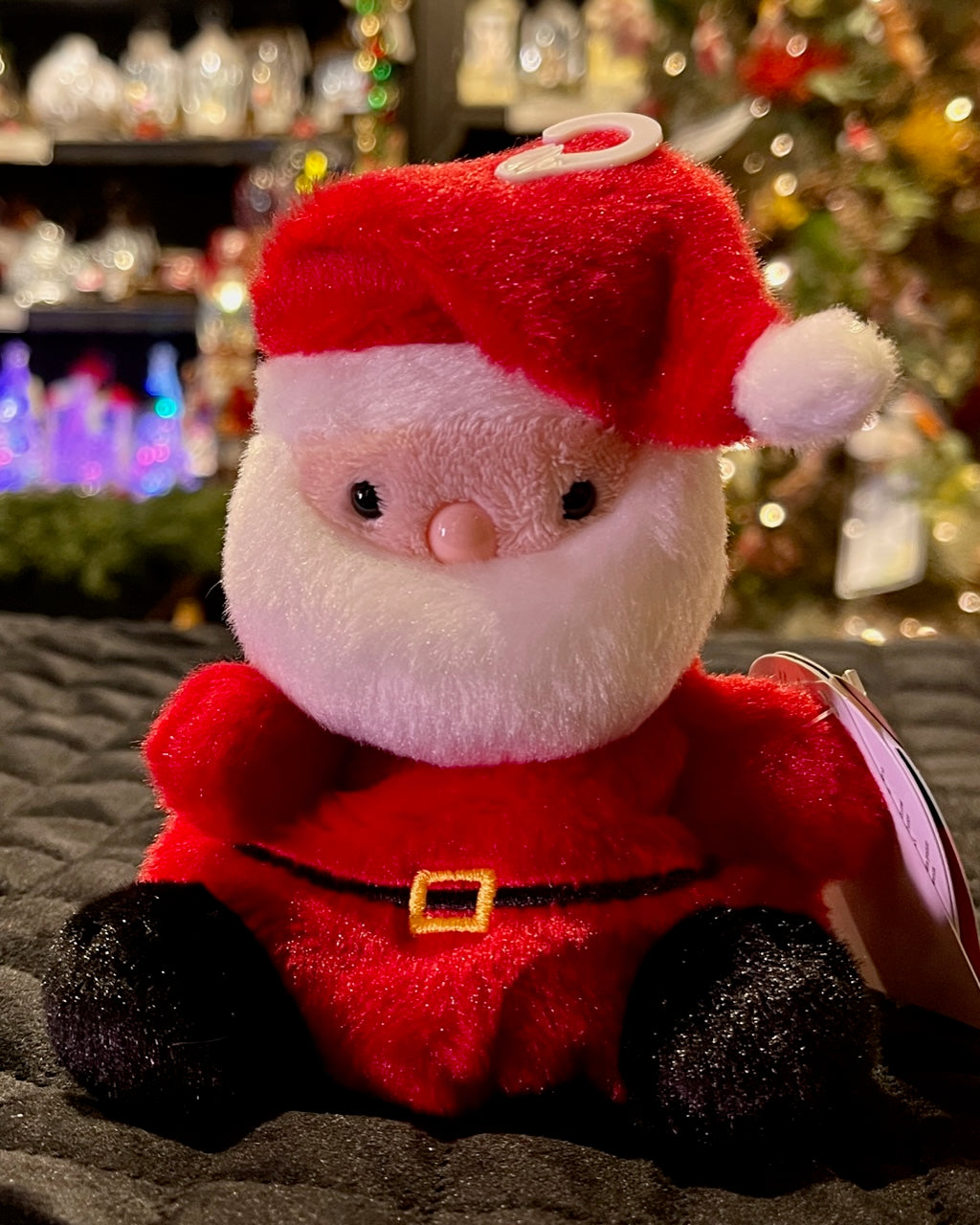 PALM PAL SANTA CLAUS PLM60