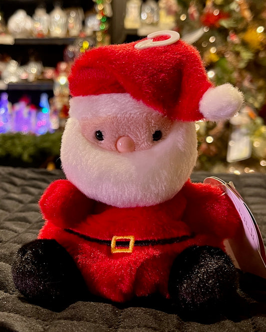 PALM PAL SANTA CLAUS PLM60