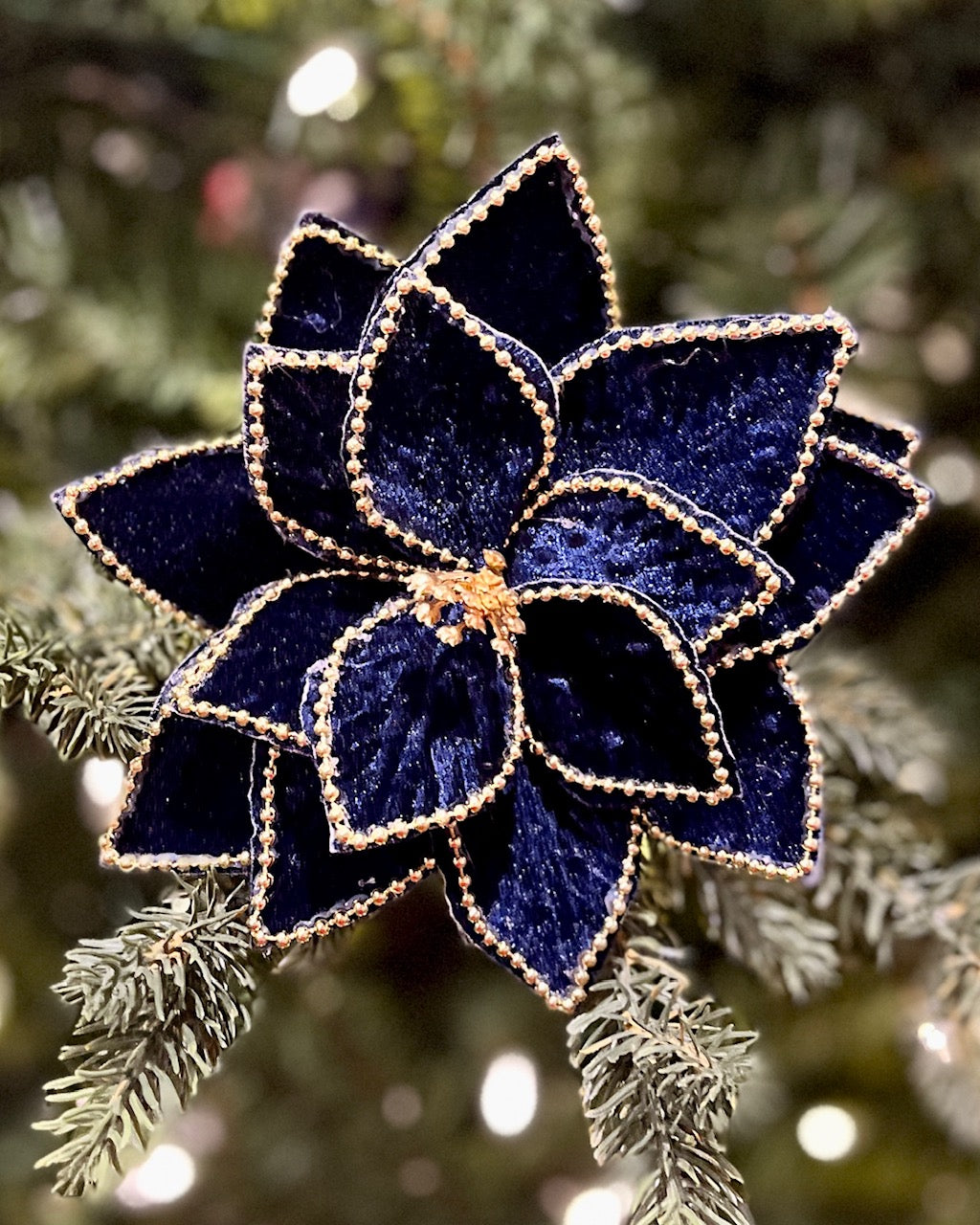 DARK BLUE BEADED EDGE POINSETTIA 42995103DBL