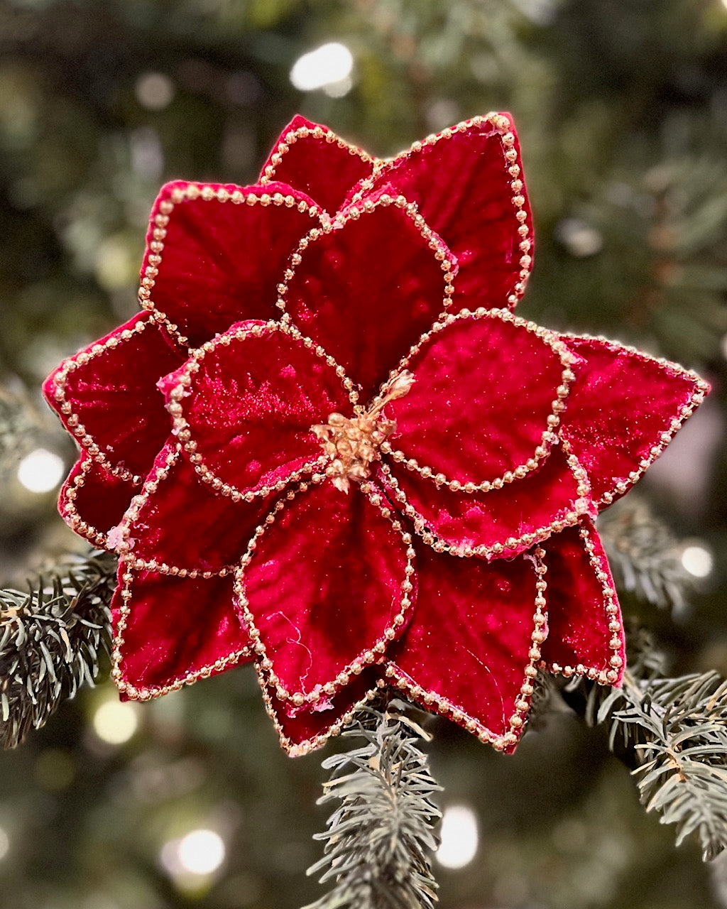 RED BEADED EDGE POINSETTIA 42995103R