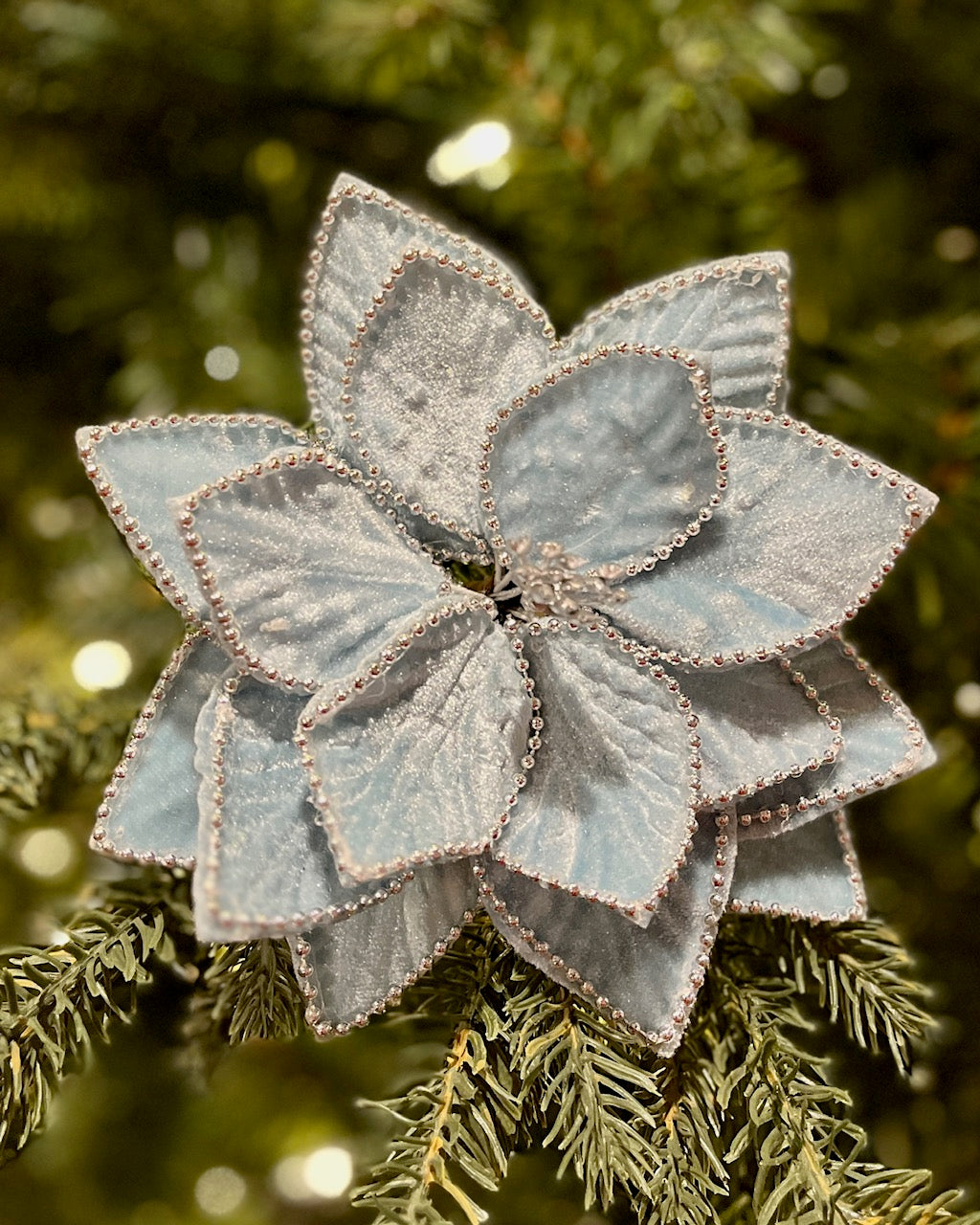 LIGHT BLUE BEADED EDGE POINSETTIA 42995103LBL