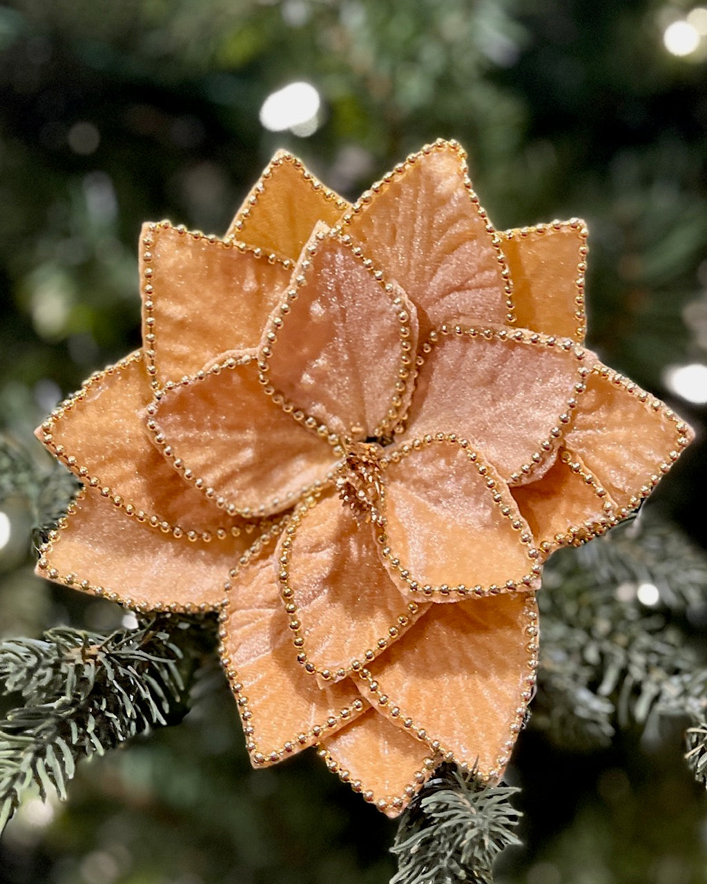 GOLD BEADED EDGE POINSETTIA 42995103GD
