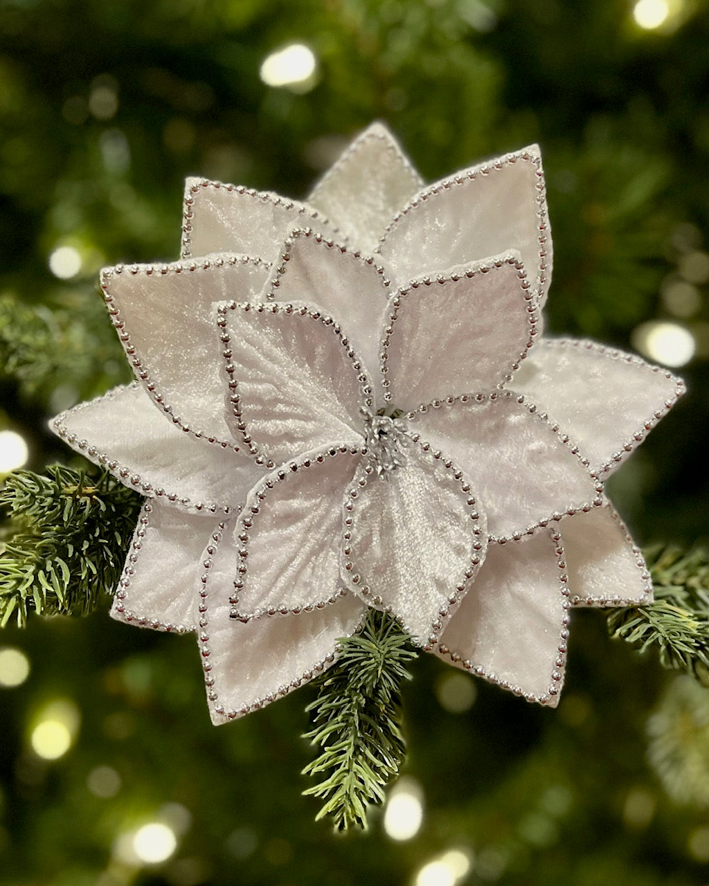 WHITE BEADED EDGE POINSETTIA 42995103W