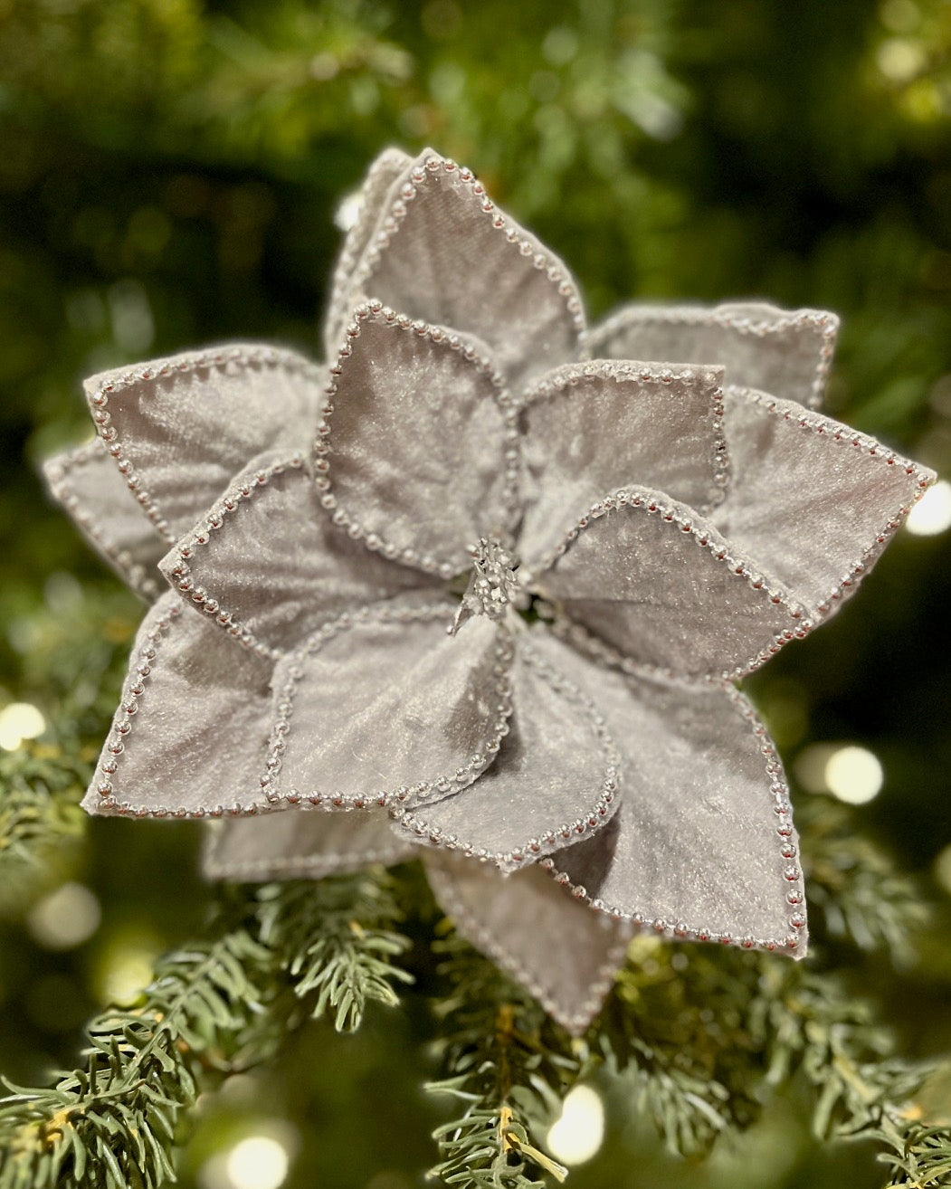SILVER BEADED EDGE POINSETTIA 42995103S