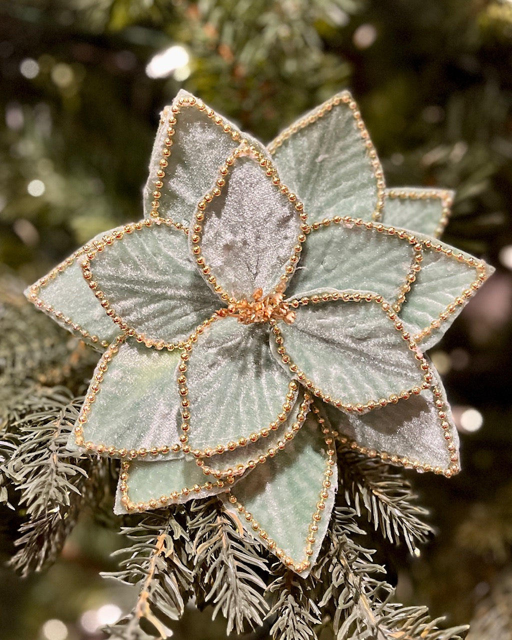 MINT BEADED EDGE POINSETTIA 42995103MT
