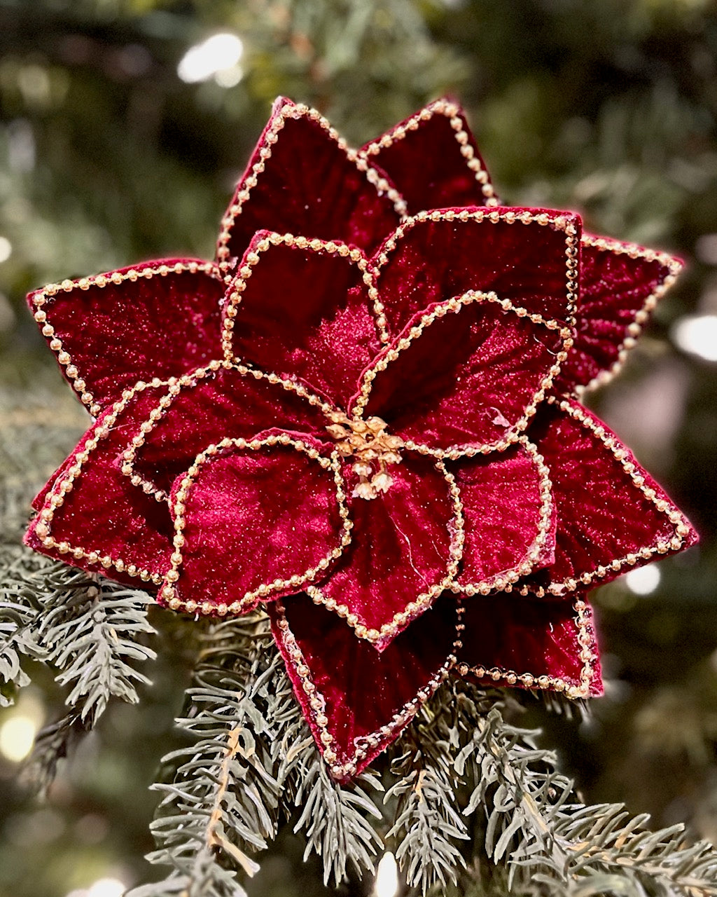 BURGUNDY BEADED EDGE POINSETTIA 42995103BUR