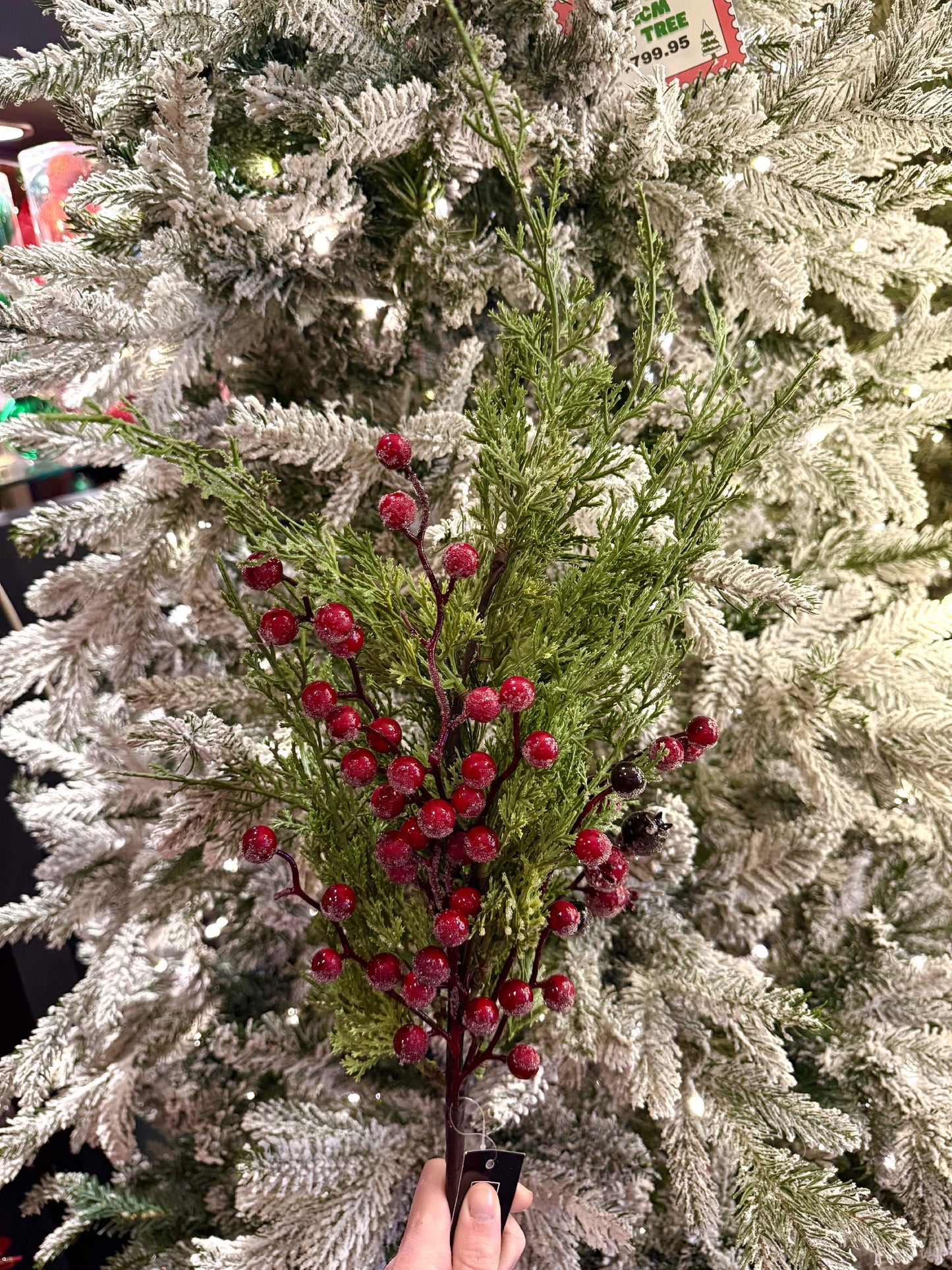 Red Berry Pine Spray SAN105