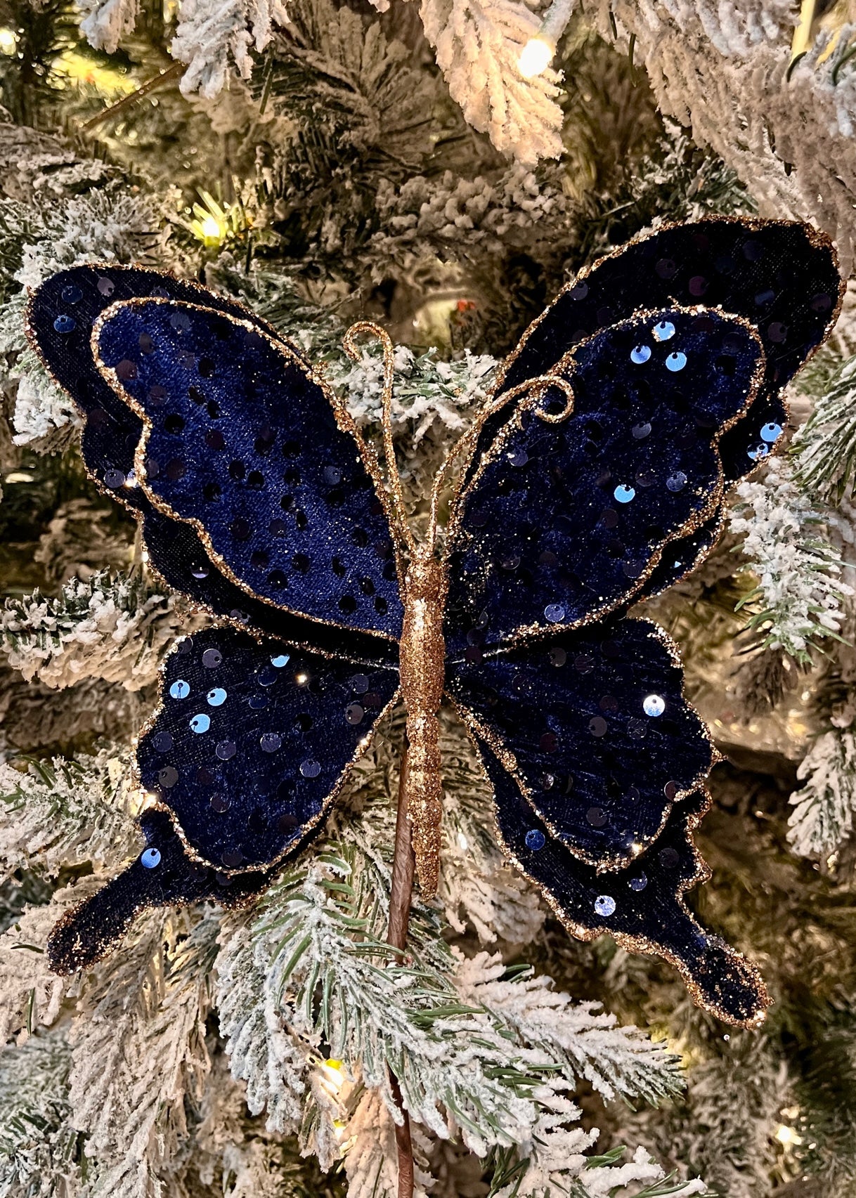 Midnight Blue Butterfly with Gold Trim SGD603