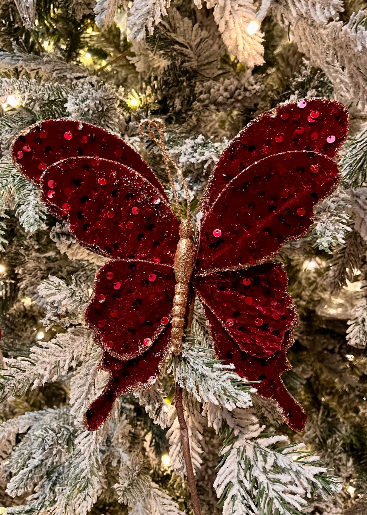 Burgundy Butterfly with Gold trim SGD604