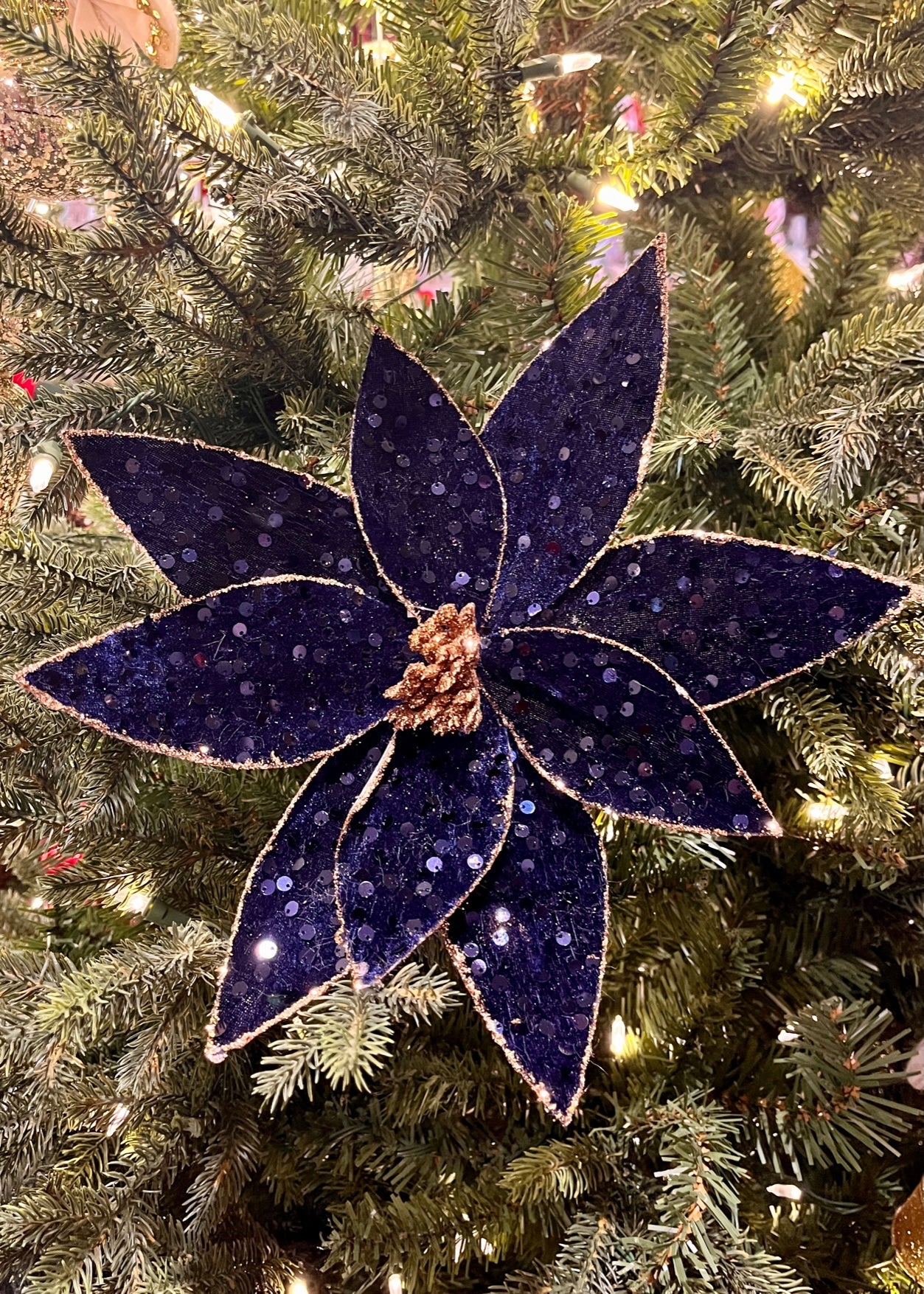 Midnight Blue Sequin Poinsettia SGD610