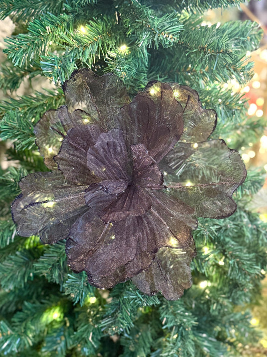 Black Sheer Flower Black Edge SGD703