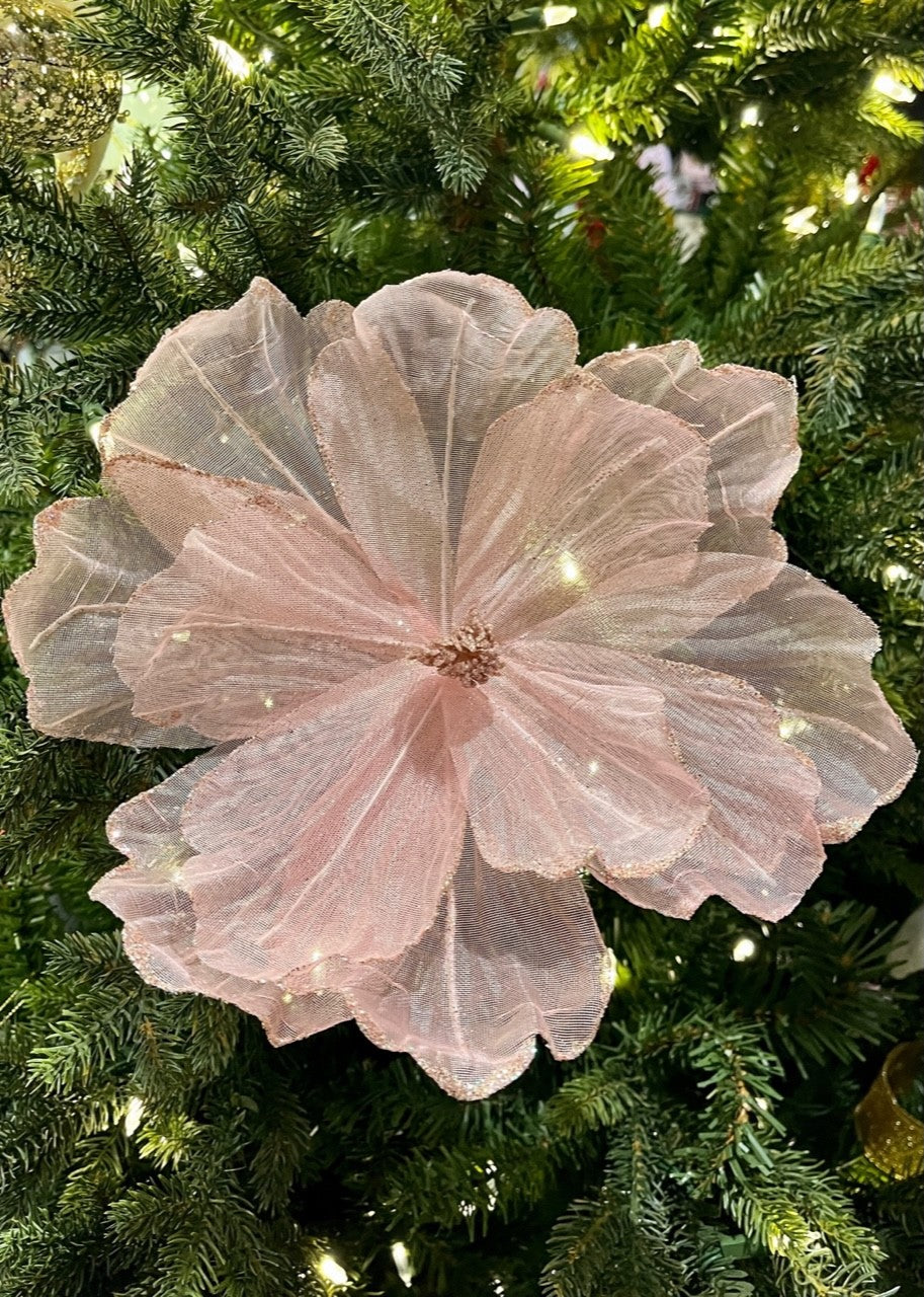 Pink Sheer Flower SGD706