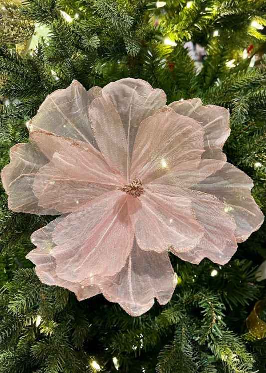 Pink Sheer Flower SGD706