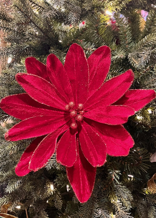 Cranberry And Gold Edge Flower SGD723