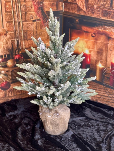 70CM FROSTED CEDAR TREE