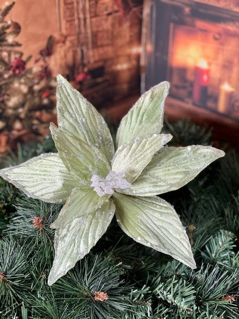 PALE GREEN POINSETTIA GGF002