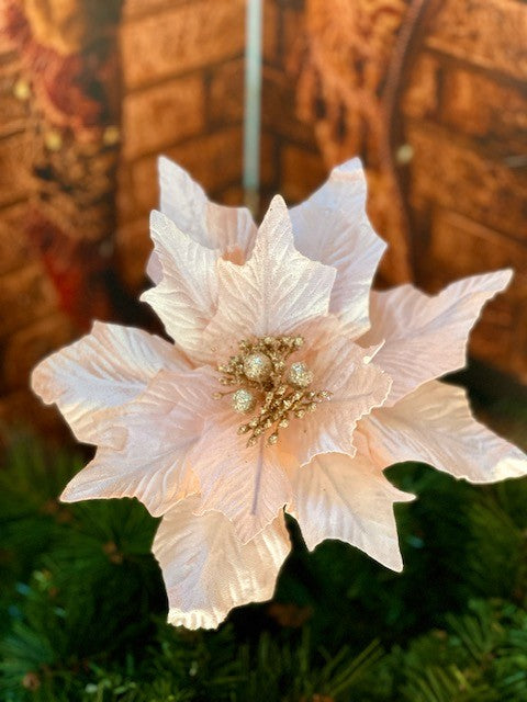 PALE PINK POINSETTIA GGF078