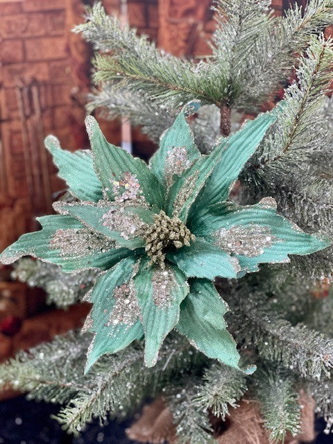 AQUA BLUE POINSETTIA GGF081