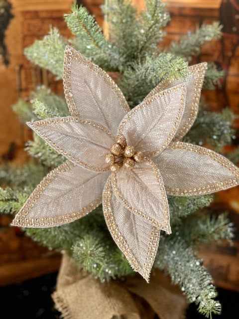 ROSE GOLD DIAMENTE EDGE POINSETTIA GGF133