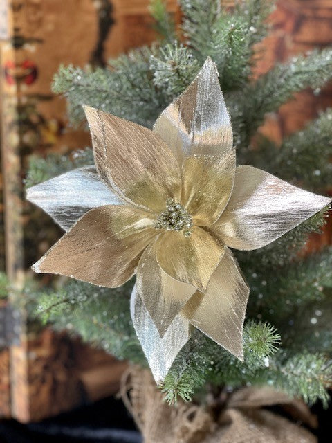 CHAMPAGNE METALLIC POINSETTIA GGF137