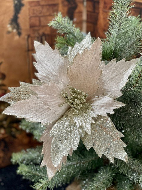 CHAMPAGE SILVER POINSETTIA GGF226