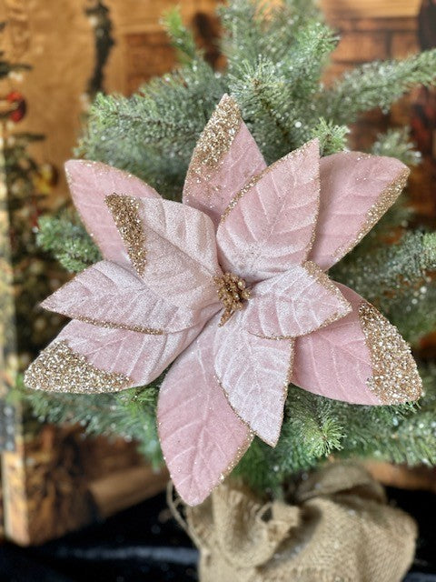 PALE PINK WITH GLITTER POINSETTIA GGF239