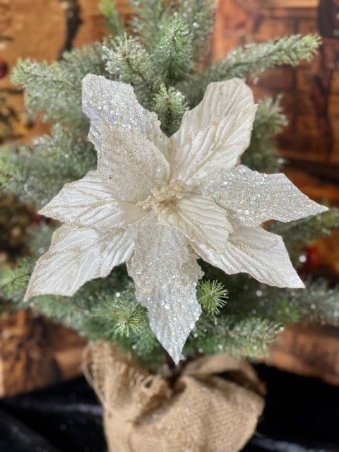 IVORY SEQUIN POINSETTIA GGF290