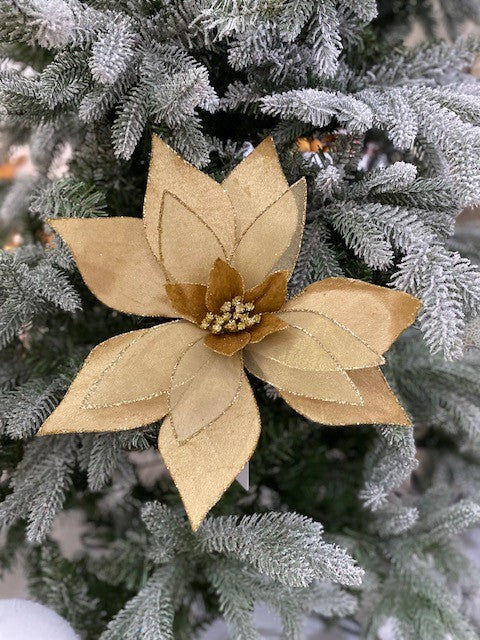 GOLD POINSETTIA JXG086