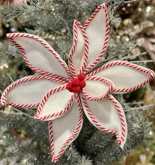 IVORY RED TRIM POINSETTIA JXG113